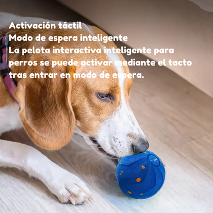 Pelota Interactiva para mascotas