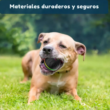 Pelota Interactiva para mascotas